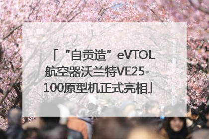 “自贡造”eVTOL航空器沃兰特VE25-100原型机正式亮相