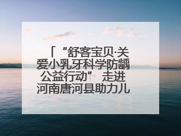 “舒客宝贝·关爱小乳牙科学防龋公益行动” 走进河南唐河县助力儿童口腔健康