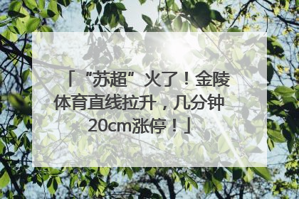 “苏超”火了！金陵体育直线拉升，几分钟20cm涨停！
