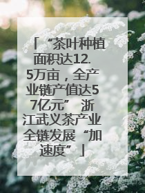 “茶叶种植面积达12.5万亩，全产业链产值达57亿元” 浙江武义茶产业全链发展“加速度”