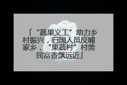 “蔬果义工”助力乡村振兴，归国人员反哺家乡，“果蔬村”村美民富香飘远近