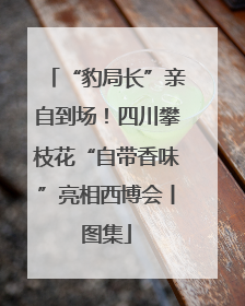 “豹局长”亲自到场！四川攀枝花“自带香味”亮相西博会丨图集
