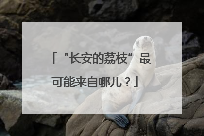 “长安的荔枝”最可能来自哪儿？
