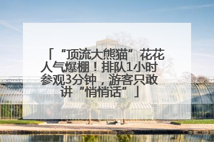 “顶流大熊猫”花花人气爆棚！排队1小时参观3分钟，游客只敢讲“悄悄话”