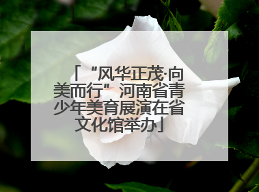 “风华正茂·向美而行”河南省青少年美育展演在省文化馆举办
