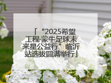 “2025希望工程·蒙牛足球未来星公益行”临沂站选拔圆满举行