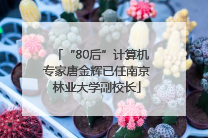 “80后”计算机专家唐金辉已任南京林业大学副校长