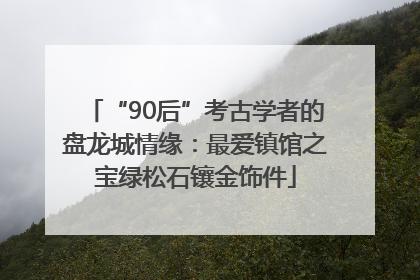 “90后”考古学者的盘龙城情缘：最爱镇馆之宝绿松石镶金饰件