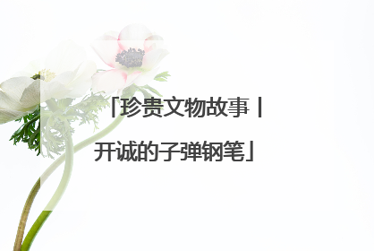 珍贵文物故事丨开诚的子弹钢笔