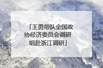 王勇带队全国政协经济委员会调研组赴浙江调研