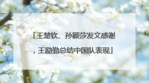 王楚钦、孙颖莎发文感谢，王励勤总结中国队表现