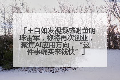 王自如发视频感谢董明珠雷军，称将再次创业，聚焦AI应用方向，“这件事确实来钱快”