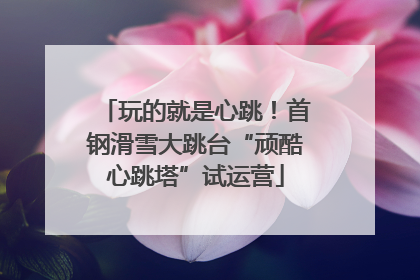 玩的就是心跳！首钢滑雪大跳台“顽酷心跳塔”试运营