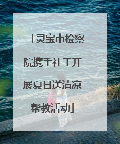 灵宝市检察院携手社工开展夏日送清凉帮教活动