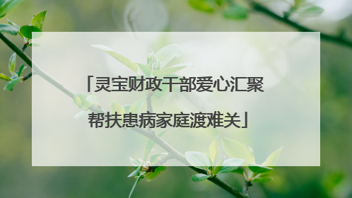灵宝财政干部爱心汇聚 帮扶患病家庭渡难关