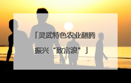 灵武特色农业翻腾振兴“致富浪”