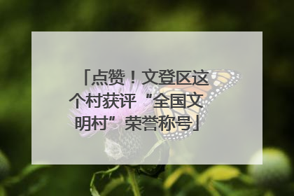 点赞！文登区这个村获评“全国文明村”荣誉称号