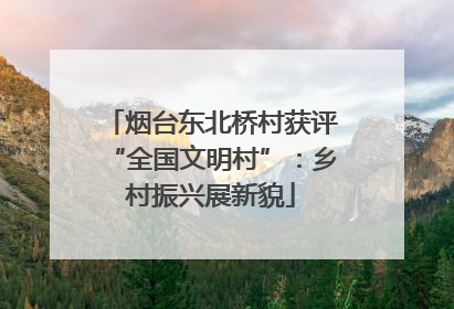 烟台东北桥村获评“全国文明村”：乡村振兴展新貌