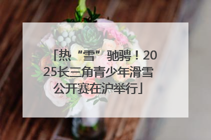 热“雪”驰骋！2025长三角青少年滑雪公开赛在沪举行