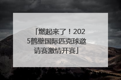 燃起来了！2025鹤壁国际匹克球邀请赛激情开赛