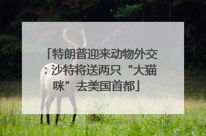 特朗普迎来动物外交：沙特将送两只“大猫咪”去美国首都