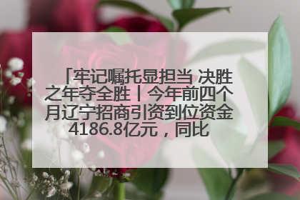 牢记嘱托显担当 决胜之年夺全胜丨今年前四个月辽宁招商引资到位资金4186.8亿元，同比增长17.4%