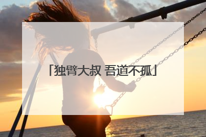 独臂大叔 吾道不孤