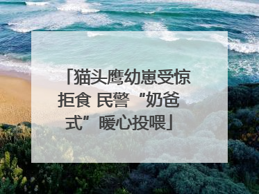 猫头鹰幼崽受惊拒食 民警“奶爸式”暖心投喂