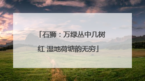 石狮：万绿丛中几树红 湿地荷塘韵无穷