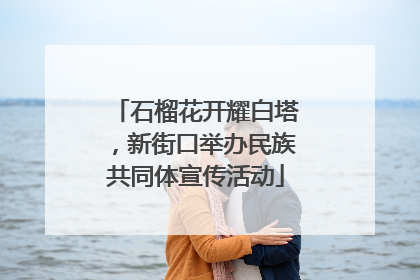 石榴花开耀白塔，新街口举办民族共同体宣传活动