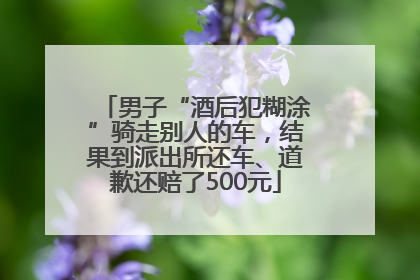 男子“酒后犯糊涂”骑走别人的车，结果到派出所还车、道歉还赔了500元