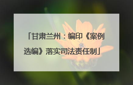 甘肃兰州：编印《案例选编》落实司法责任制