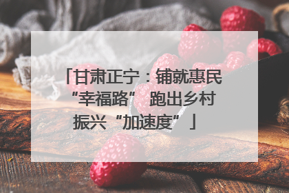 甘肃正宁：铺就惠民“幸福路” 跑出乡村振兴“加速度”