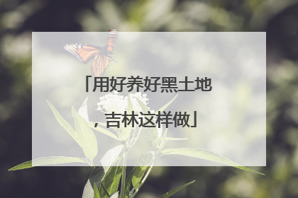 用好养好黑土地，吉林这样做