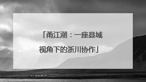 甬江潮：一座县域视角下的浙川协作