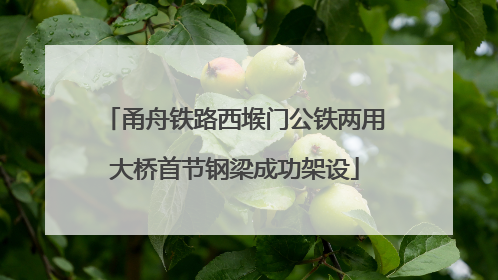甬舟铁路西堠门公铁两用大桥首节钢梁成功架设