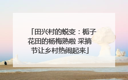 田兴村的蜕变：栀子花田的杨梅熟啦 采摘节让乡村热闹起来