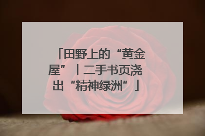 田野上的“黄金屋”丨二手书页浇出“精神绿洲”
