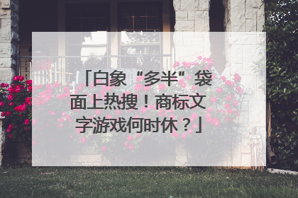 白象“多半”袋面上热搜！商标文字游戏何时休？