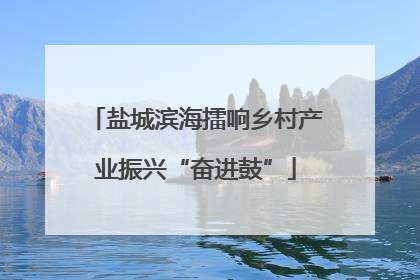 盐城滨海擂响乡村产业振兴“奋进鼓”
