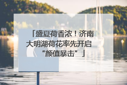 盛夏荷香浓！济南大明湖荷花率先开启“颜值暴击”