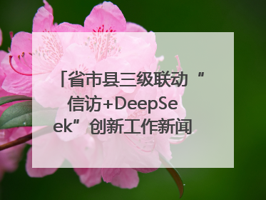 省市县三级联动“信访+DeepSeek”创新工作新闻发布会举行