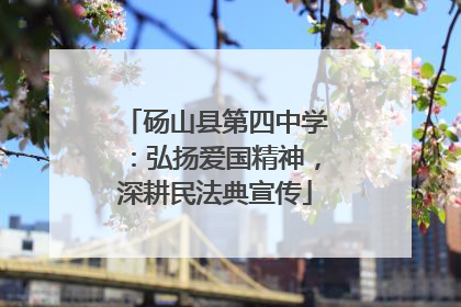 砀山县第四中学：弘扬爱国精神，深耕民法典宣传