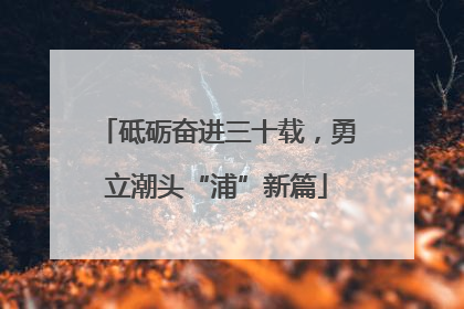 砥砺奋进三十载，勇立潮头“浦”新篇