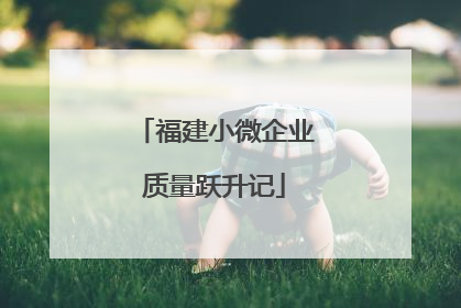 福建小微企业质量跃升记