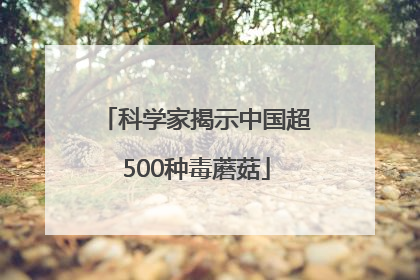 科学家揭示中国超500种毒蘑菇