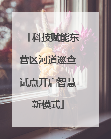 科技赋能东营区河道巡查试点开启智慧新模式