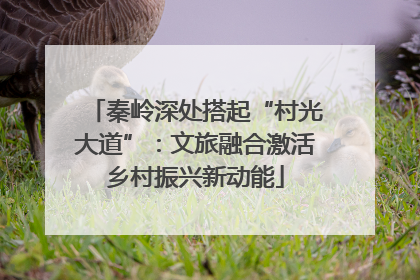 秦岭深处搭起“村光大道”：文旅融合激活乡村振兴新动能