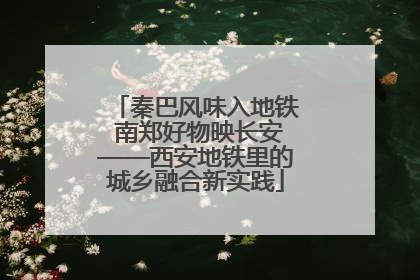 秦巴风味入地铁 南郑好物映长安——西安地铁里的城乡融合新实践