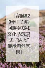 穿越620年！百崎回族乡郑和文化节沉浸式“活态”传承海丝基因